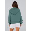 imagePRETTYGARDEN Hoodies for Women Sweatshirt Zip Up Hoodie Fall Fashion 2025 Trendy Long Sleeve Jackets Winter Clothing OutfitsSage Green