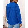 imagePRETTYGARDEN Womens Dressy Casual Blouse Tops Fall Spring Puff Long Sleeve Button V Neck Hollow Out Lace Embroidered ShirtsBlue