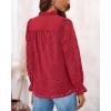 imagePRETTYGARDEN Womens Dressy Casual Blouse Tops Fall Spring Puff Long Sleeve Button V Neck Hollow Out Lace Embroidered ShirtsRed