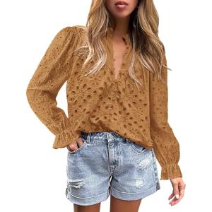 imagePRETTYGARDEN Womens Dressy Casual Blouse Tops Fall Spring Puff Long Sleeve Button V Neck Hollow Out Lace Embroidered ShirtsKhaki