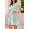 imagePRETTYGARDEN Womens 2025 Summer Short Dress V Neck Short Sleeve A Line Hollow Out Lace Ruffle Cute Casual Beach Party DressesLight Green