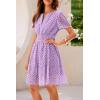 imagePRETTYGARDEN Womens 2025 Summer Short Dress V Neck Short Sleeve A Line Hollow Out Lace Ruffle Cute Casual Beach Party DressesPurple