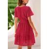 imagePRETTYGARDEN Womens 2025 Summer Short Dress V Neck Short Sleeve A Line Hollow Out Lace Ruffle Cute Casual Beach Party DressesRed