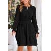 imagePRETTYGARDEN Womens 2025 Long Sleeve Mini Dress Eyelet V Neck A Line Casual Elegant Holiday Wedding Guest Party DressesBlack