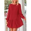imagePRETTYGARDEN Womens Patchwork Sweatshirt Dress 2025 Fall Casual Long Sleeve Crewneck Pullover Cute Babydoll Mini DressesRed