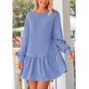 imagePRETTYGARDEN Womens Patchwork Sweatshirt Dress 2025 Fall Casual Long Sleeve Crewneck Pullover Cute Babydoll Mini DressesSky Blue