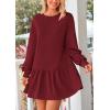 imagePRETTYGARDEN Womens Patchwork Sweatshirt Dress 2025 Fall Casual Long Sleeve Crewneck Pullover Cute Babydoll Mini DressesWine Red