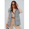 imagePRETTYGARDEN Womens Puffer Jacket Vests 2025 Fall Casual Sleeveless Stand Collar Zip Up Coats Warm Winter OuterwearLight Grey