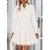 imagePRETTYGARDEN Womens Spring 2025 Long Puff Sleeve Mini Dress Hollow Out Lace V Neck A Line Ruffle Casual Party DressesWhite