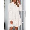 imagePRETTYGARDEN Womens Spring 2025 Long Puff Sleeve Mini Dress Hollow Out Lace V Neck A Line Ruffle Casual Party DressesWhite