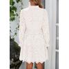imagePRETTYGARDEN Womens Spring 2025 Long Puff Sleeve Mini Dress Hollow Out Lace V Neck A Line Ruffle Casual Party DressesWhite