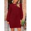 imagePRETTYGARDEN Womens Oversized Sweater Dress 2025 Fall Long Sleeve Crewneck Chunky Knit Slouchy Winter Pullover SweatersWine Red