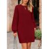 imagePRETTYGARDEN Womens Oversized Sweater Dress 2025 Fall Long Sleeve Crewneck Chunky Knit Slouchy Winter Pullover SweatersWine Red
