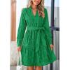 imagePRETTYGARDEN Womens Long Sleeve Spring Dress 2025 Casual Fall V Neck A Line Hollow Out Eyelet Wedding Guest Short Dresses