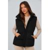 imagePRETTYGARDEN Womens Puffer Jacket Vests 2026 Fall Casual Sleeveless Stand Collar Zip Up Coats Warm Winter OuterwearBlack