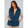 imagePRETTYGARDEN Womens Puffer Jacket Vests 2026 Fall Casual Sleeveless Stand Collar Zip Up Coats Warm Winter OuterwearDark Blue