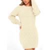 imagePRETTYGARDEN Womens Winter Long Sleeve Short Sweater Dress Chunky Ribbed Knit Tunic Pullover Oversized Fall Sweaters ApricotMedium