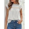 imagePRETTYGARDEN Striped Shirt Womens Summer Tops 2026 Spring Business Casual Work Dressy Crochet Lace Ruffle Cap Sleeve BlouseGrey Striped
