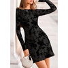 image:imagePRETTYGARDEN Womens 2026 Fall Fashion Floral Long Sleeve Mini Dress Mesh Bodycon Short Party Date Night Going Out DressesBlack