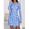 image:imagePRETTYGARDEN Womens 2026 Fall Fashion Floral Long Sleeve Mini Dress Mesh Bodycon Short Party Date Night Going Out DressesFloral Light Blue