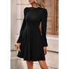 image:imagePRETTYGARDEN Womens Long Sleeve Mini Dress 2026 Fall Trendy Crewneck Ribbed Knit Soft A Line Flowy Summer Formal DressesBlack